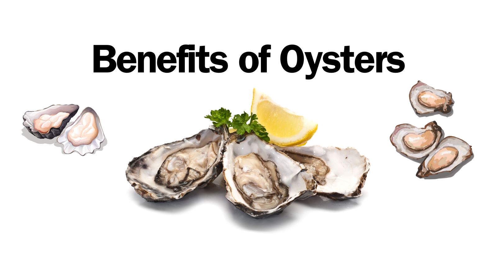 The Pearl of Good Health Health Benefits of Oysters